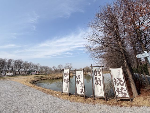 上海东滩湿地公园旅行图片 2