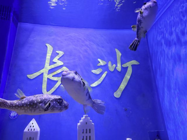 长沙湘江海洋王国旅行图片 1