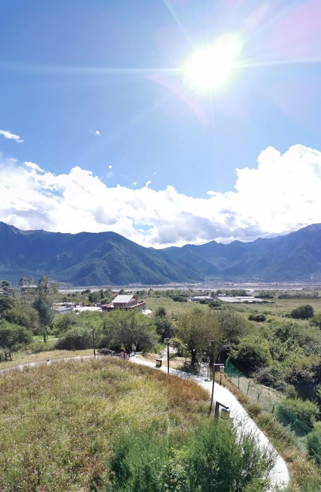 世界柏树王园林风景区旅行图片 1