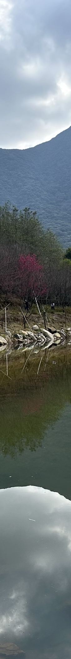 灵石山国家森林公园-福清-邪恶地猪猪