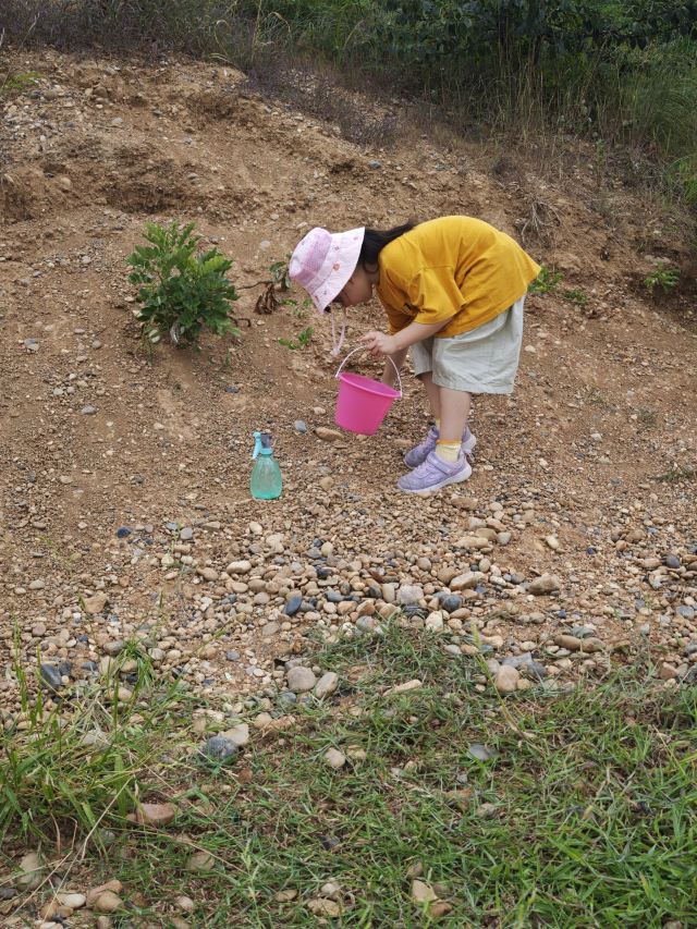 雨花石地质公园旅行图片 3
