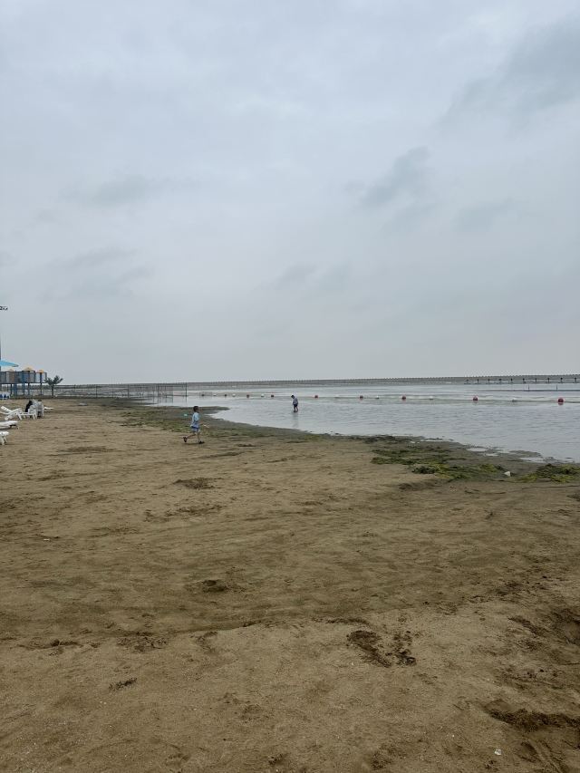 金山城市沙滩旅行图片 1