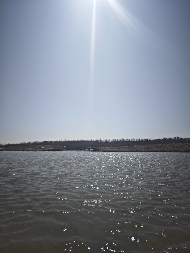 上海东滩湿地公园旅行图片 1