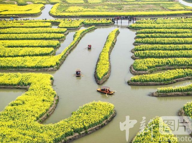 千垛景区旅行图片 1