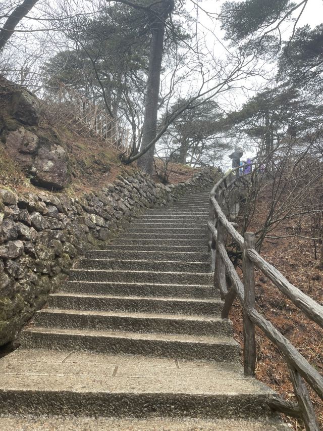 黄山风景区旅行图片 9