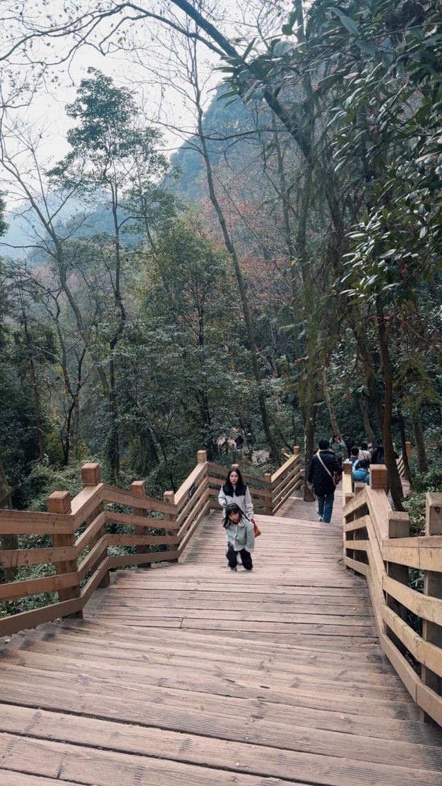 青城山景区旅行图片 3
