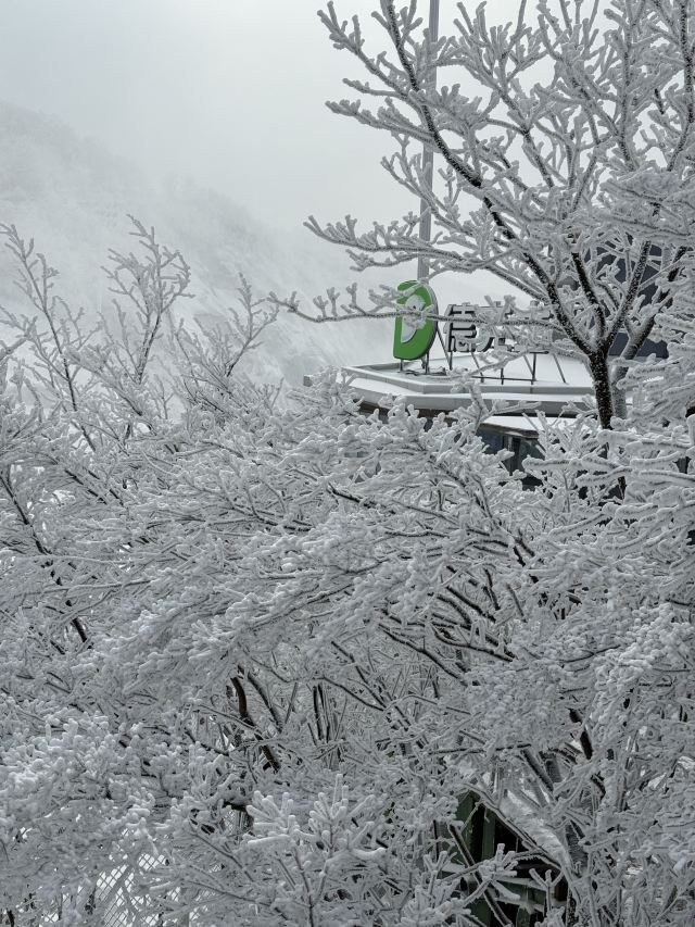 云上草原国际山地旅游度假区旅行图片 7