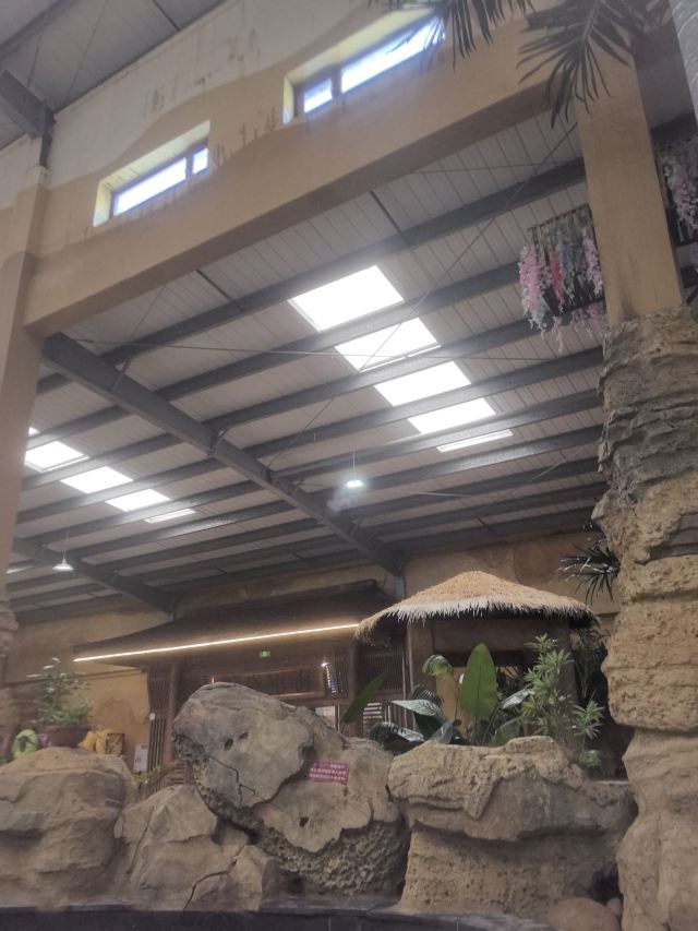 水师森林公园旅行图片 1