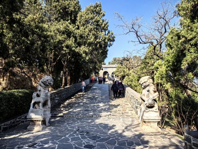 蓬莱阁景区旅行图片 8