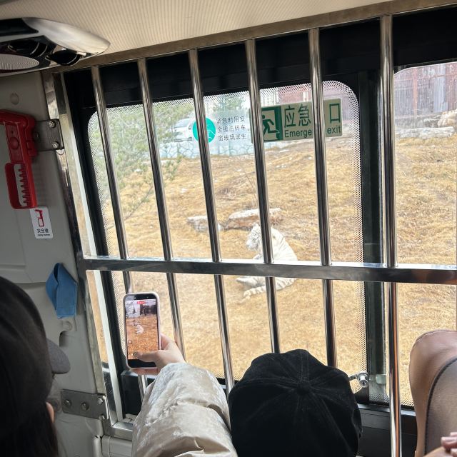 太原动物园旅行图片 1