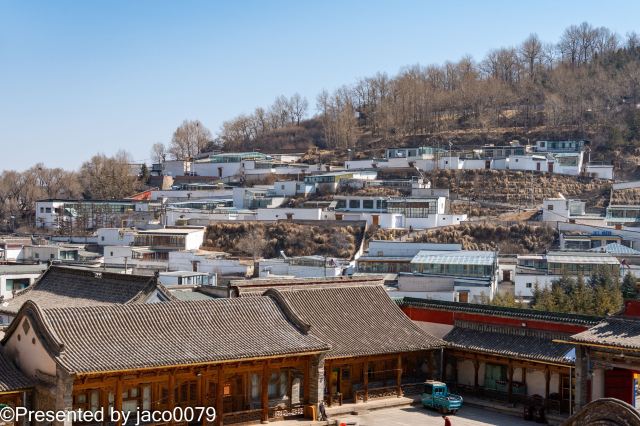 塔尔寺旅行图片 2