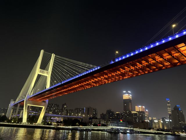 申城之光黄浦江游船旅行图片 1
