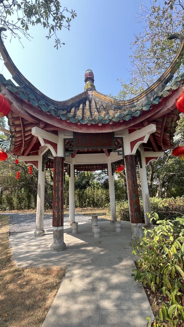 小鸟天堂旅行图片 5