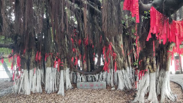 胡里山炮台旅行图片 3