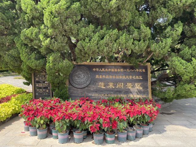 蓬莱阁景区旅行图片 3