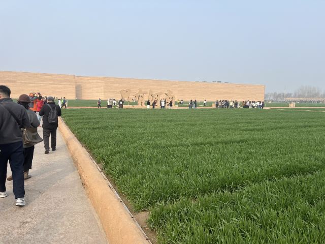 只有河南·戏剧幻城旅行图片 2