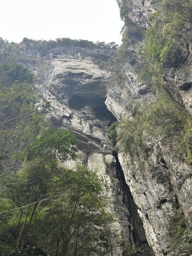武隆喀斯特旅游区旅行图片 2