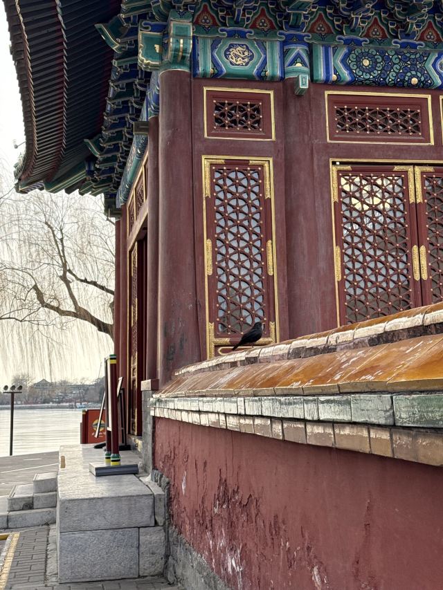 北海公园旅行图片 3