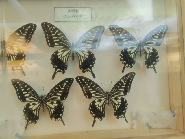 左右山谷亲子度假区(暂停开放)旅行图片 4