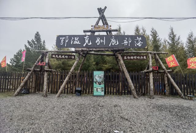 乌兰布统达瓦鄂温克驯鹿部落旅行图片 1