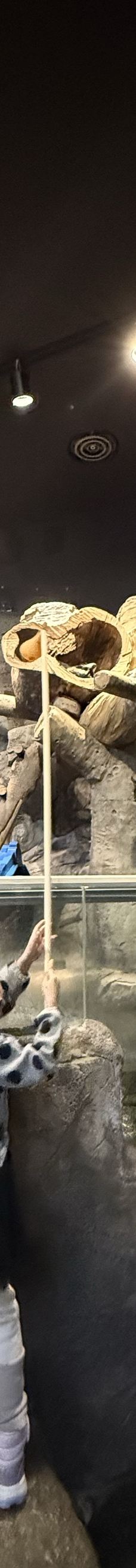 Zoolung Zoolung室内萌宠乐园(SEOUL TIMES SQUARE分店)-首尔-leesogr