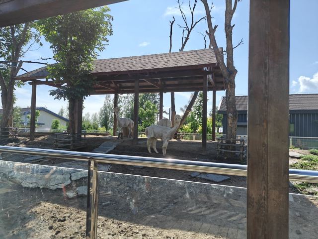 牡丹江珍稀动物园旅行图片 5