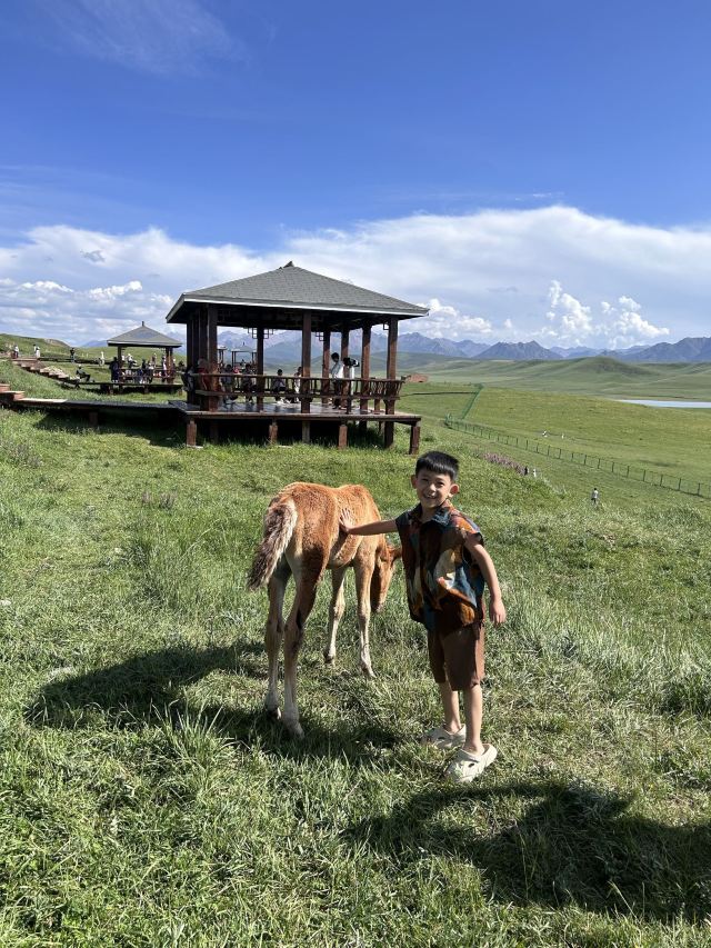 山丹皇家马场景区(暂停开放)旅行图片 1