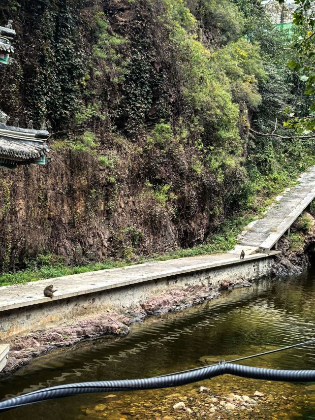 京东大峡谷旅行图片 3