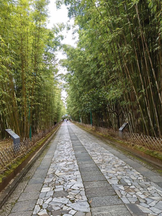 蝴蝶泉旅行图片 2