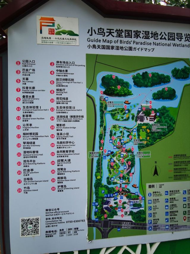 小鸟天堂旅行图片 1