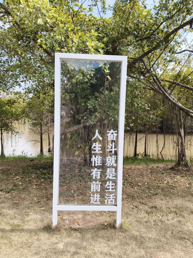 小鸟天堂旅行图片 1