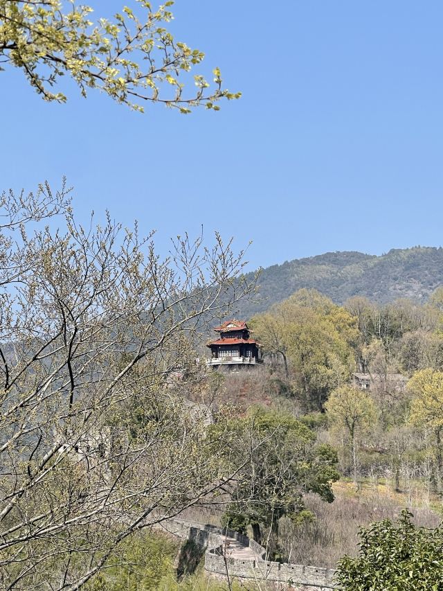 台州府城文化旅游区旅行图片 6