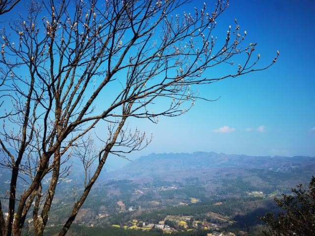 剑门关景区旅行图片 7