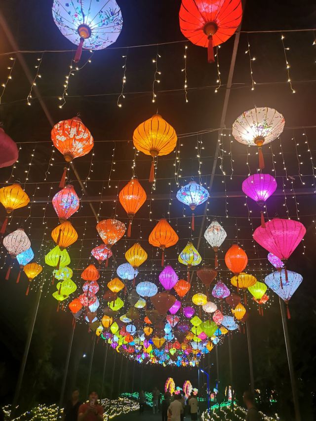 椰子大观园旅行图片 4