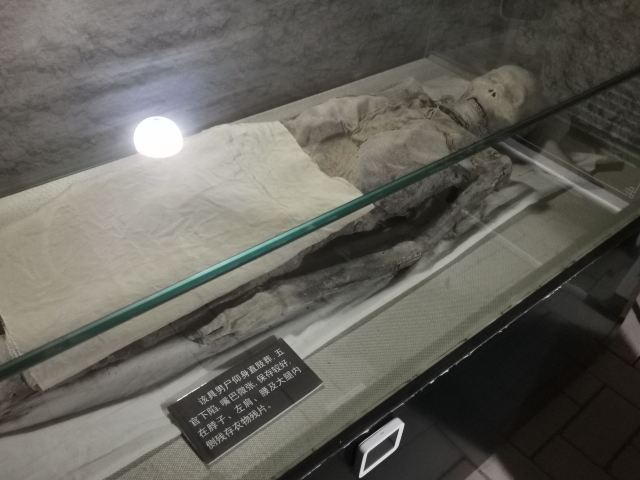 阿斯塔那古墓群(暂停开放)旅行图片 3