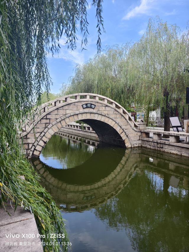 南戴河国际娱乐中心(暂停营业)旅行图片 4
