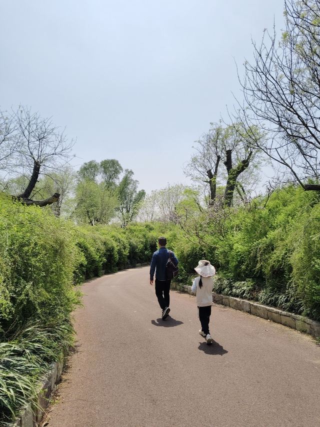 南通洲际梦幻岛旅行图片 2