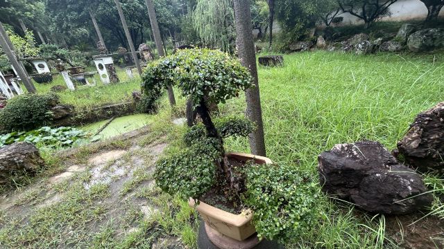 李白文化园旅行图片 2