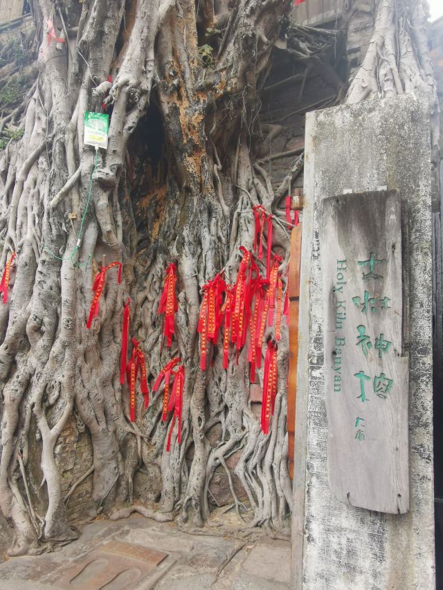 南风古灶旅行图片 4