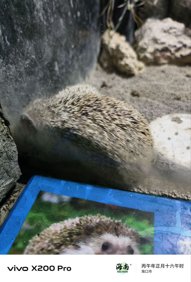 海之语海洋世界旅行图片 2