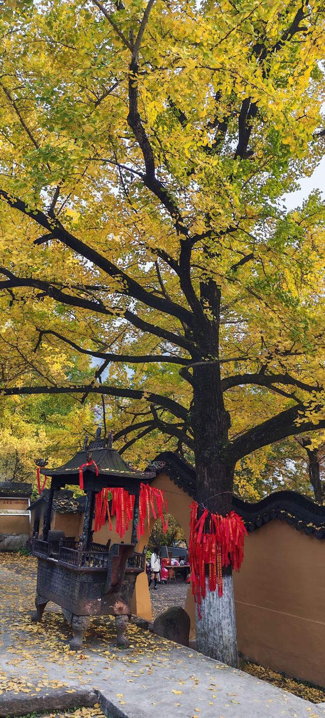 八都岕八都堰旅行图片 1