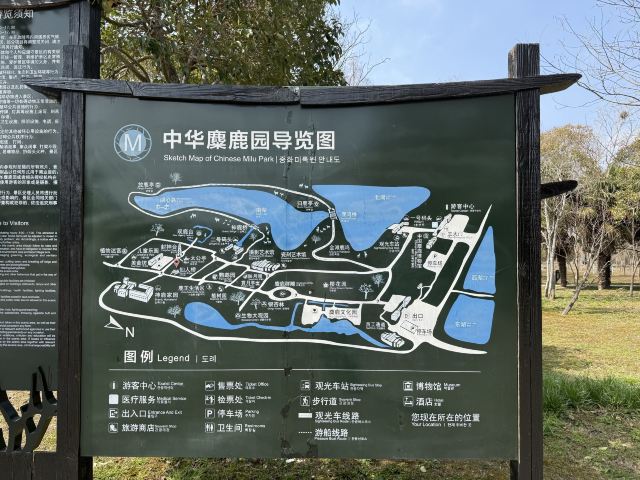 中华麋鹿园旅行图片 2