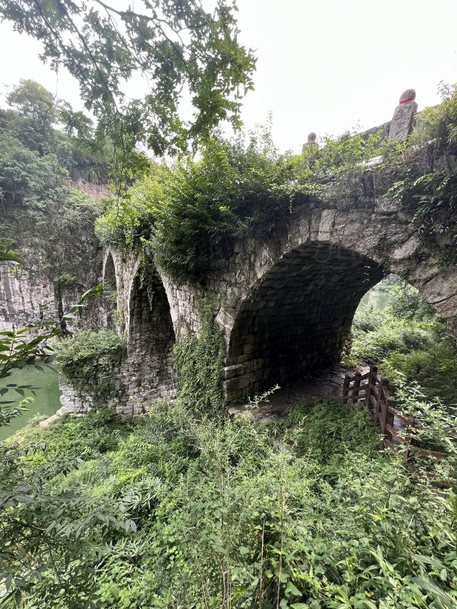 洒金公园旅行图片 7