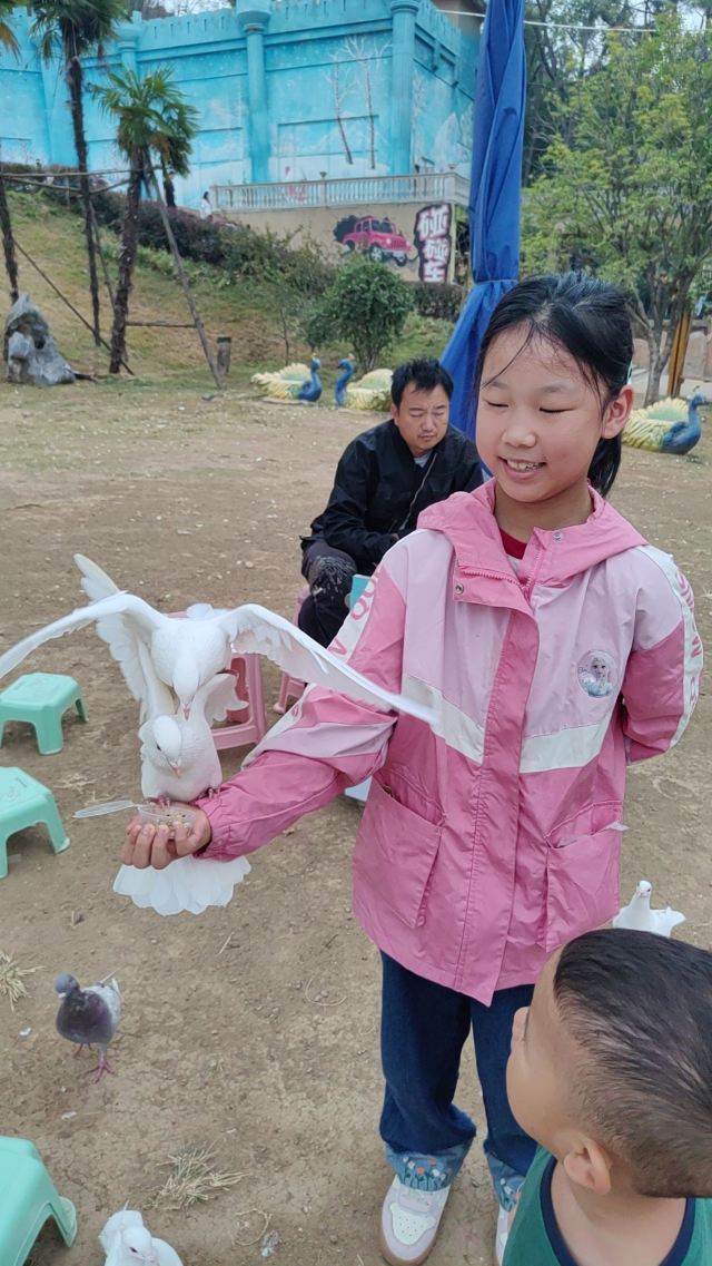武汉野生动物王国旅行图片 1