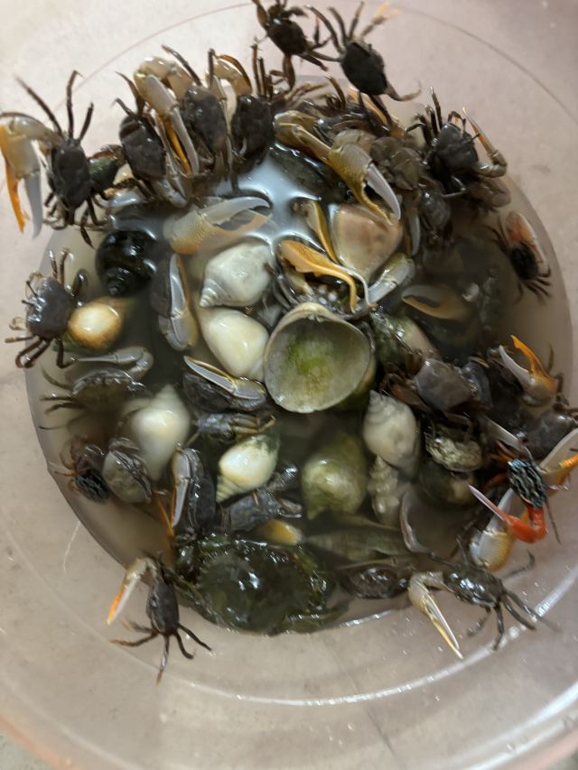神州半岛旅游度假区旅行图片 1