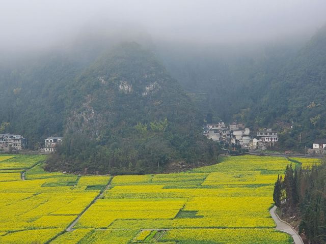 万峰湖红椿船舶旅游乘船区旅行图片 2