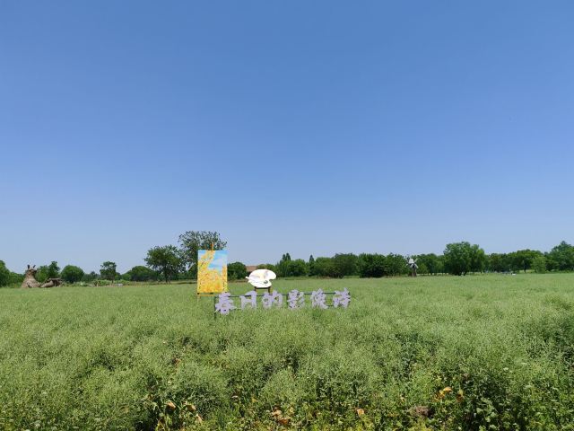 长兴太湖图影湿地文化园-观景塔旅行图片 1
