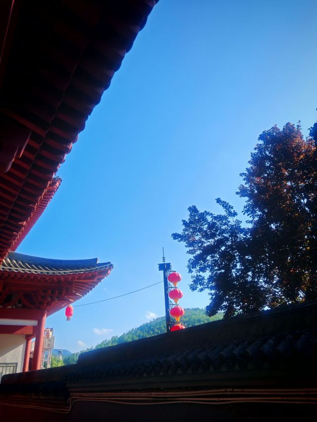 隋仁寿宫·唐九成宫1号殿遗址旅行图片 4