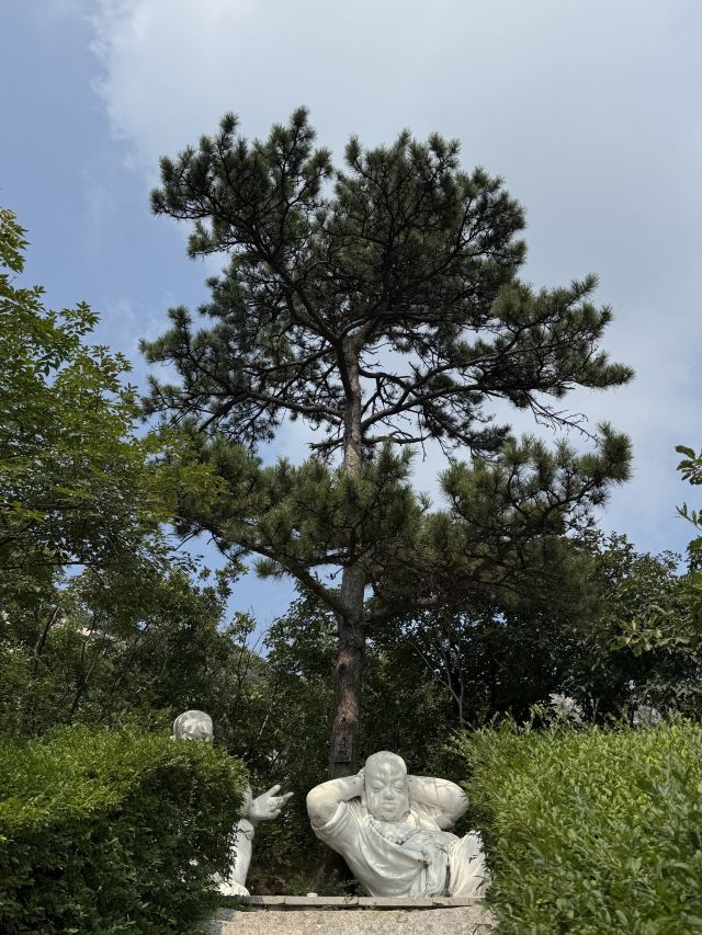 青岩寺风景区旅行图片 4