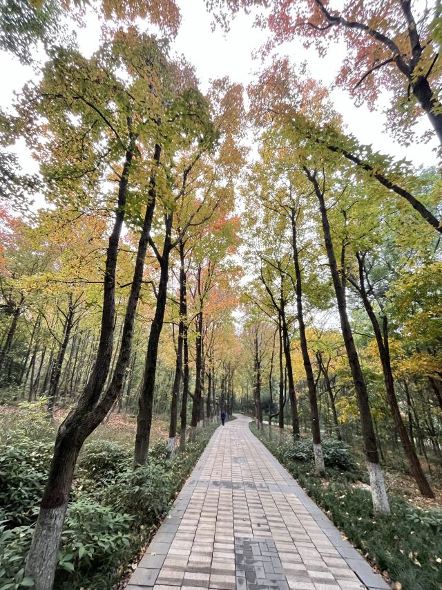 成都植物园旅行图片 9